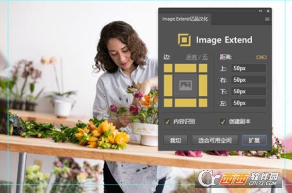 ImageExtend,插件.