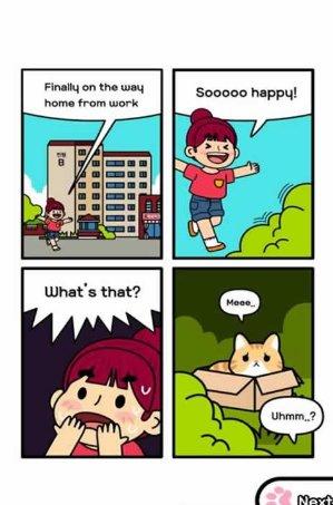 驯服流浪猫游戏破解版下载,驯服流浪猫,猫咪游戏,宠物游戏