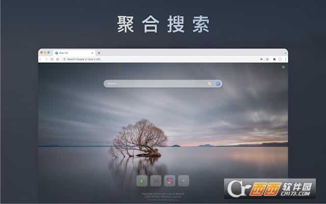 Quest,标签页,插件.