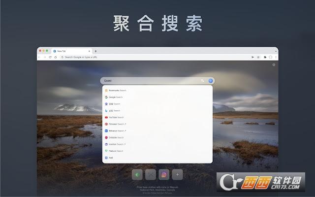 Quest,标签页,插件.