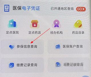 新疆兵团医疗保障服务平台下载,新疆兵团医保,医保app,新疆app